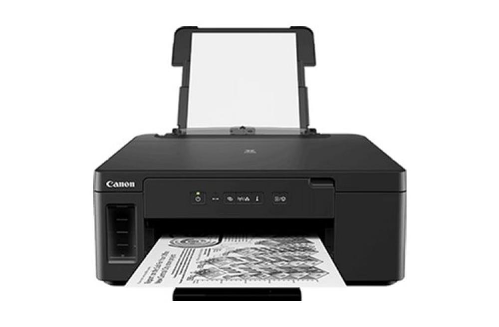Принтер Canon PIXMA GM2040 с оригинальной СНПЧ и чернилами - изображение 1